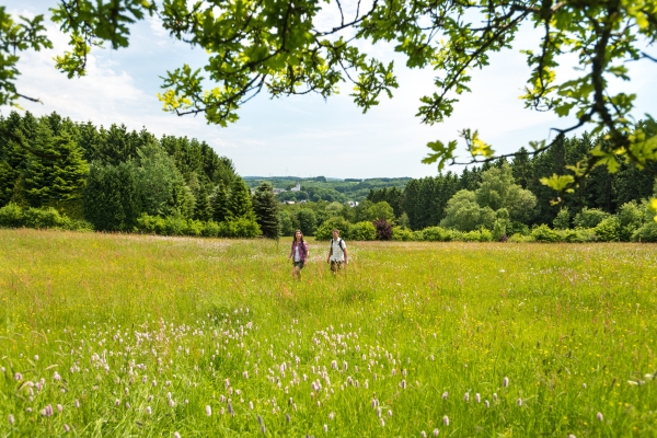 Wildpark Hotel (Bad Marienberg)